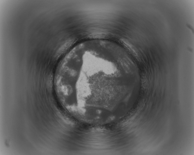 X0000091350586200708311518