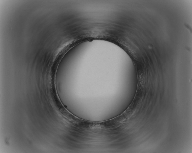 X0000091350587200708311518