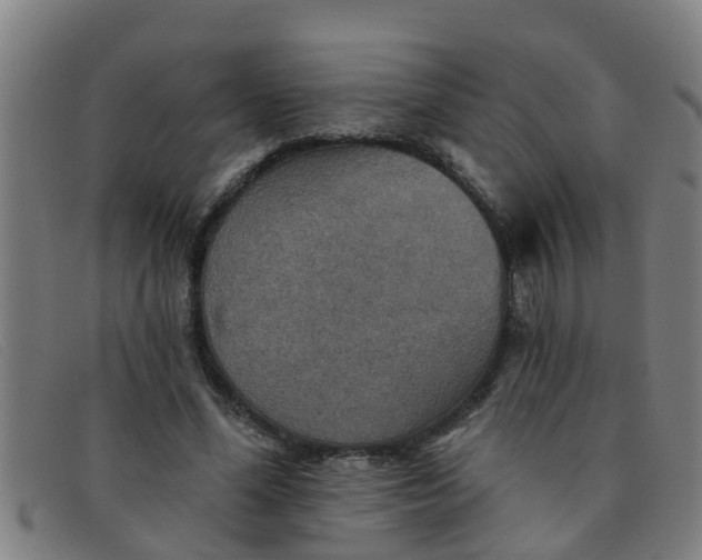 X0000091350588200708311518