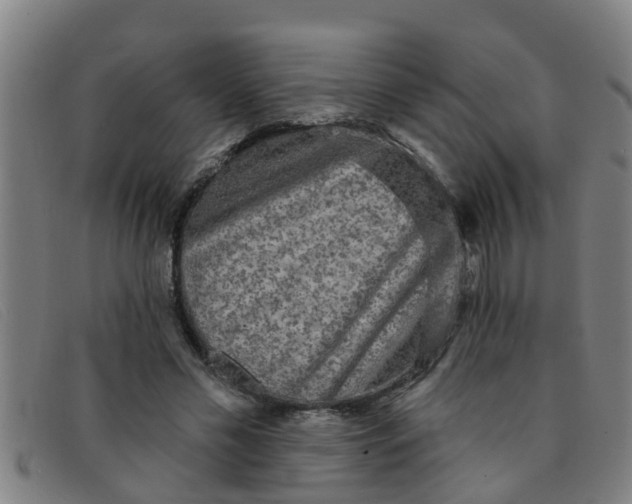 X0000091350589200708311518