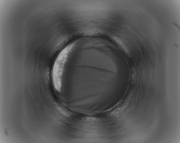 X0000091350590200708311518