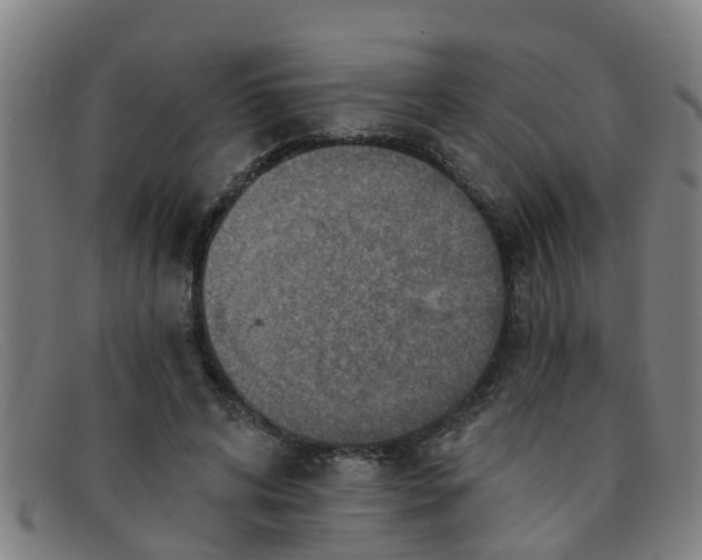 X0000091350592200708311518