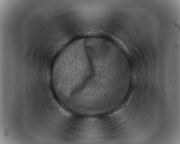 X0000091350593200708311518