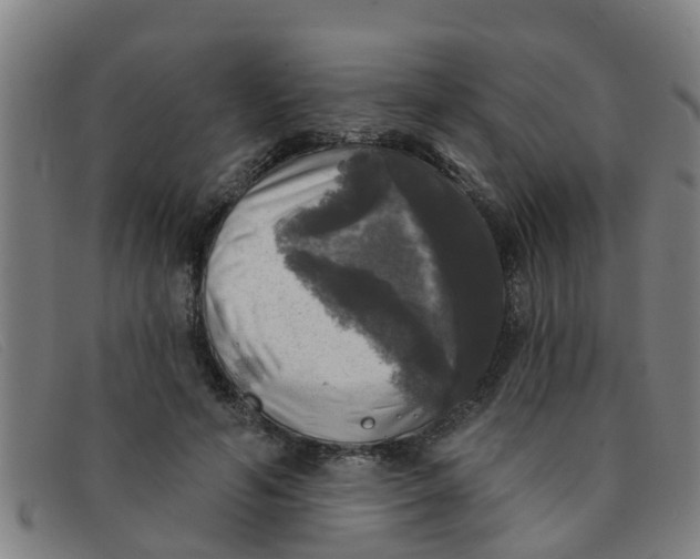 X0000091350594200708311518