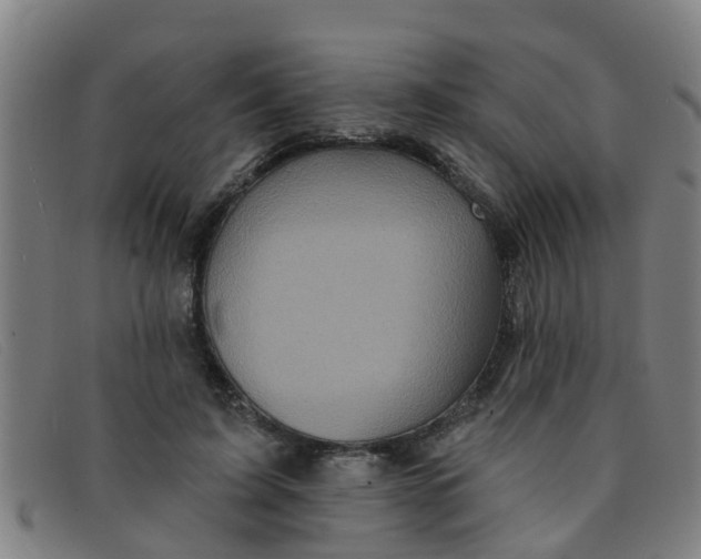 X0000091350595200708311518