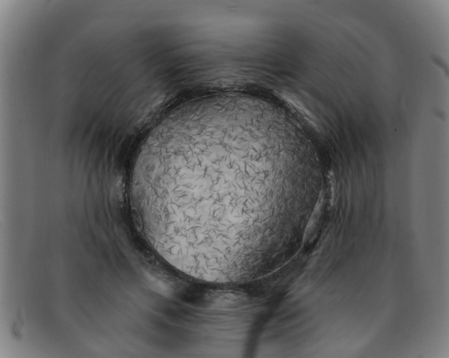 X0000091350597200708311518