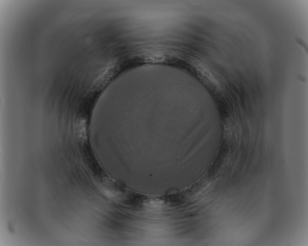 X0000091350598200708311518