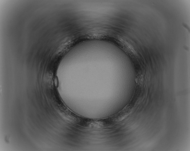 X0000091350599200708311518