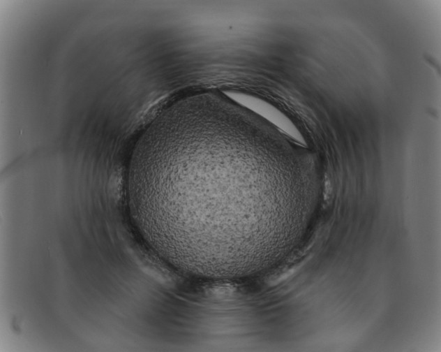 X0000091350600200708311518