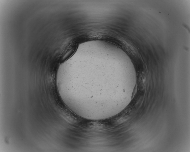 X0000091350601200708311518