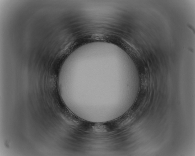 X0000091350603200708311517