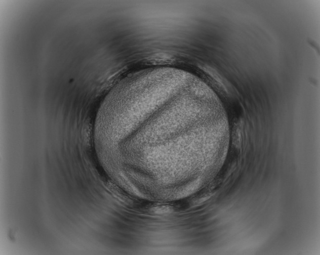 X0000091350604200708311517