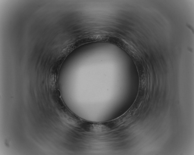 X0000091350605200708311517