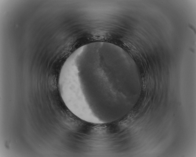 X0000091350606200708311517