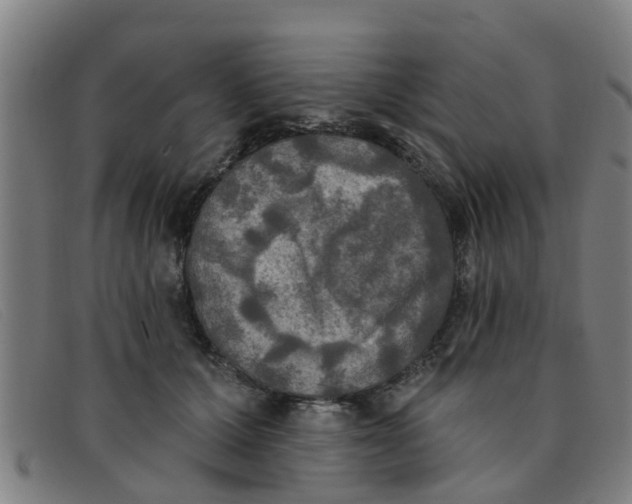 X0000091350607200708311517