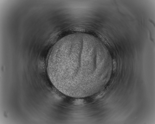 X0000091350609200708311517