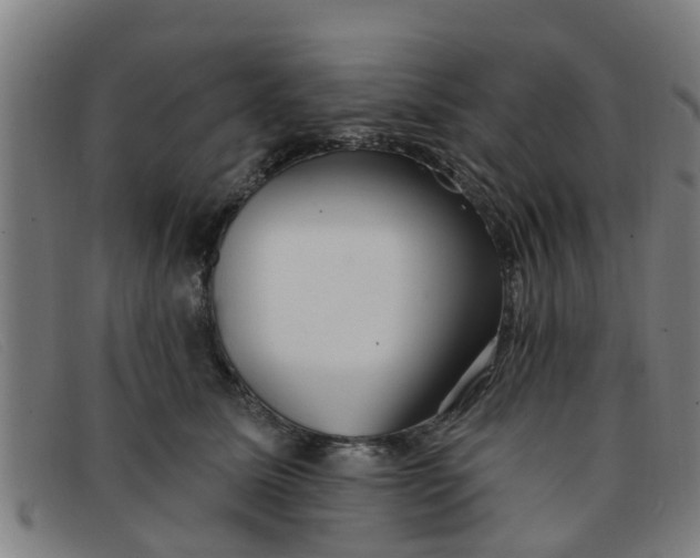 X0000091350611200708311517