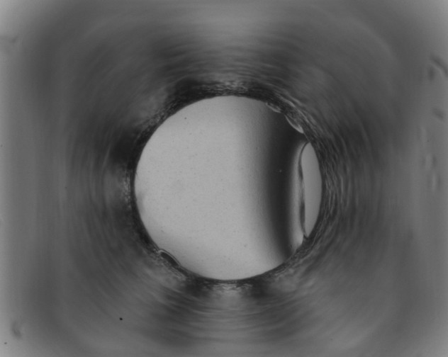 X0000091350613200708311517