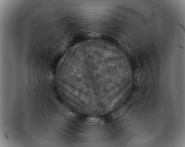 X0000091350614200708311517