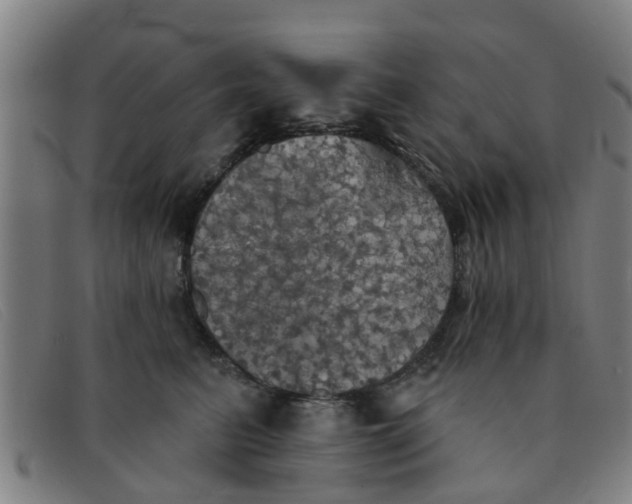 X0000091350615200708311517