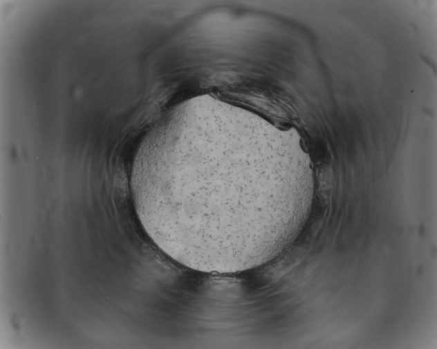 X0000091350617200708311517