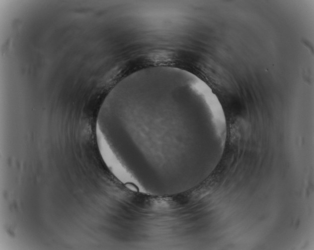 X0000091350618200708311517
