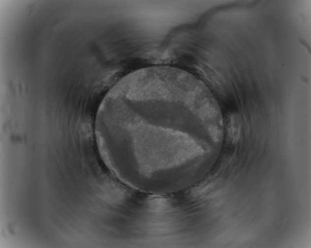 X0000091350620200708311517
