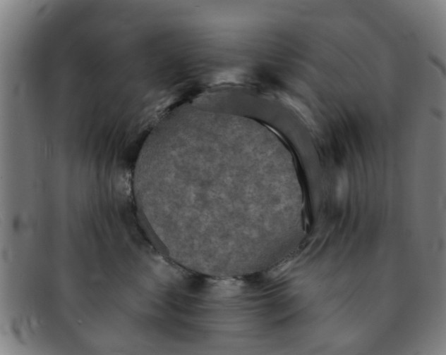 X0000091350621200708311517