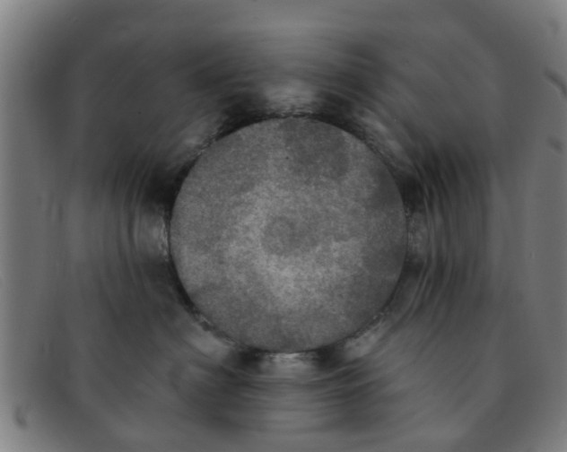 X0000091350622200708311517