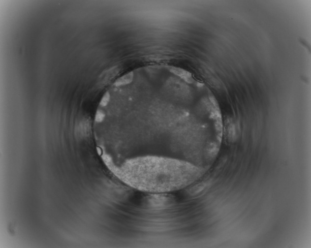 X0000091350623200708311517