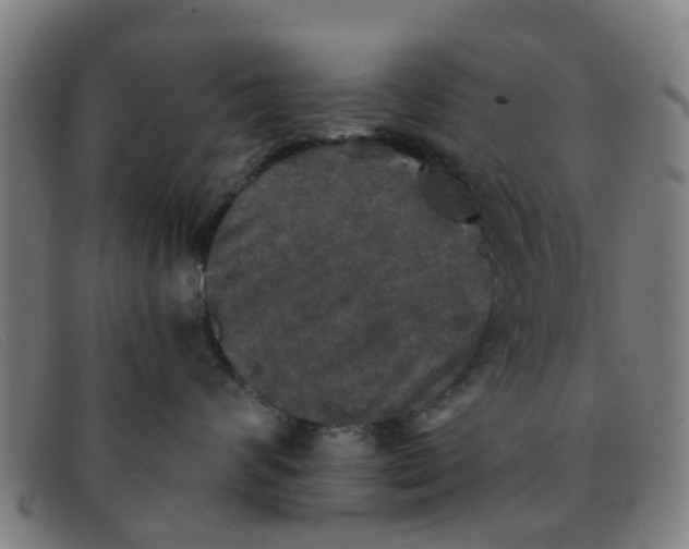 X0000091350624200708311517