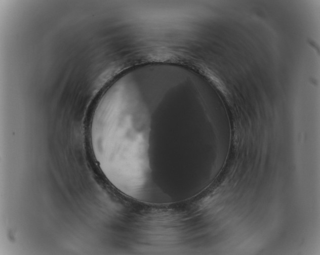 X0000091350626200708311516