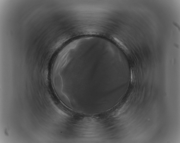 X0000091350627200708311517