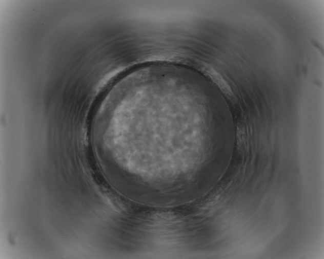 X0000091350628200708311517