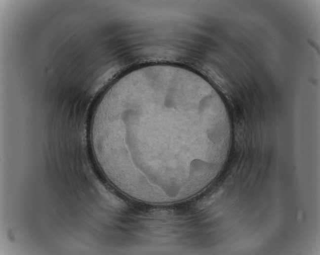 X0000091350629200708311517