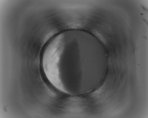 X0000091350630200708311517
