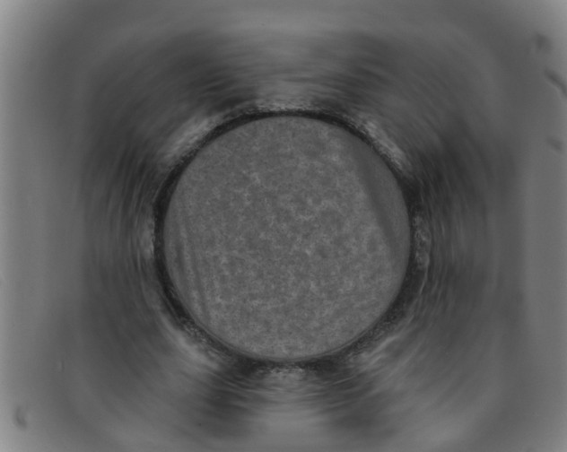 X0000091350631200708311517