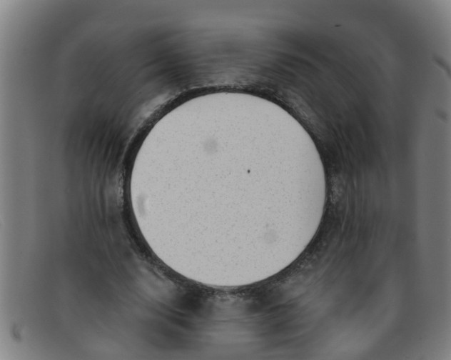X0000091350632200708311517