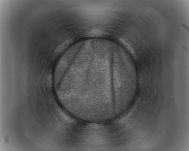 X0000091350633200708311517