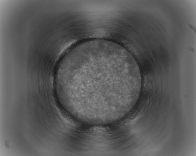 X0000091350636200708311517