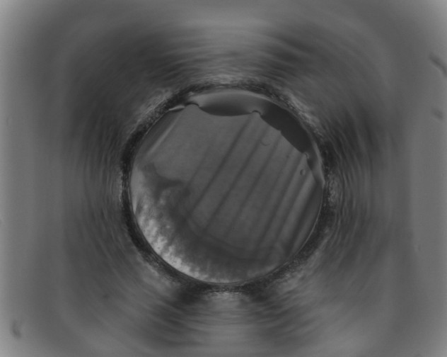 X0000091350637200708311517