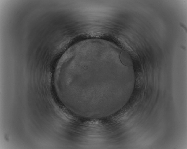 X0000091350639200708311517