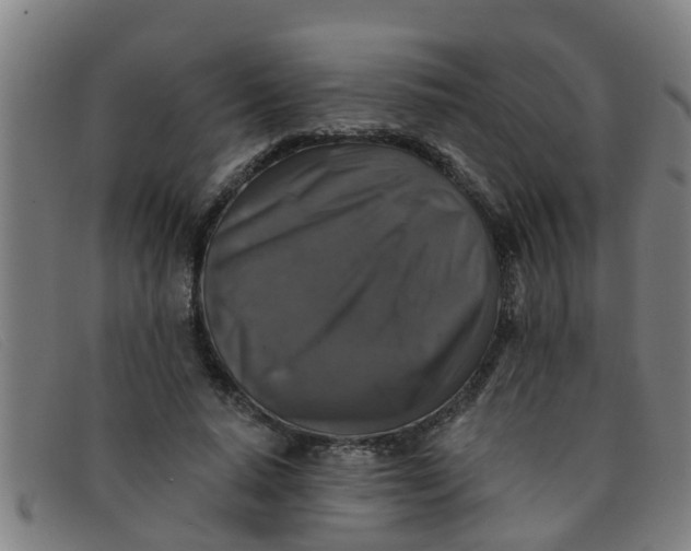 X0000091350640200708311517