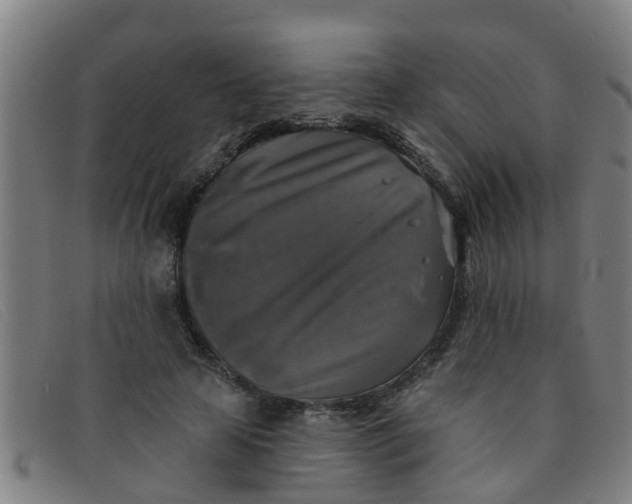 X0000091350641200708311517