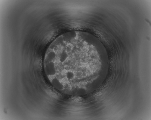 X0000091350642200708311517