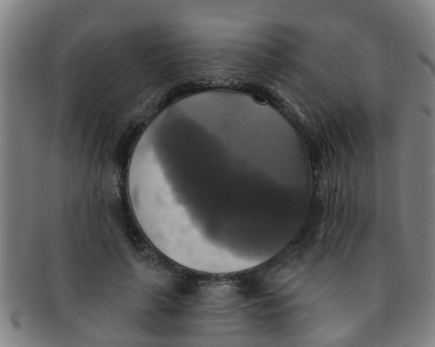 X0000091350643200708311517