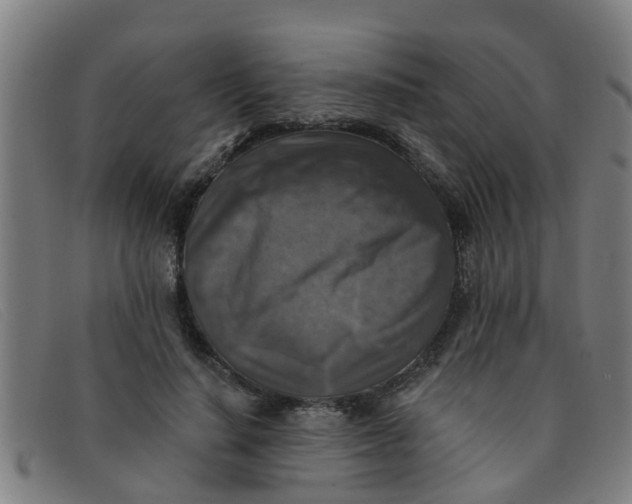X0000091350644200708311517