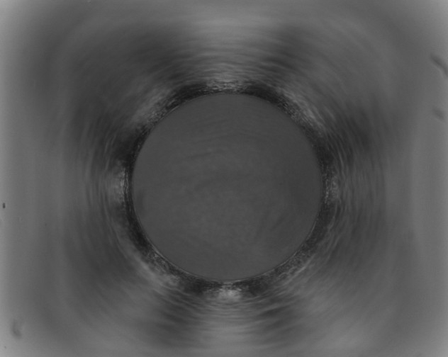 X0000091350647200708311517