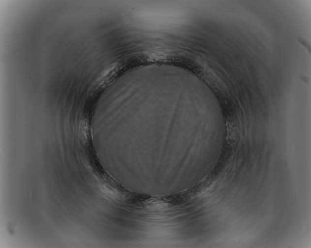 X0000091350648200708311517
