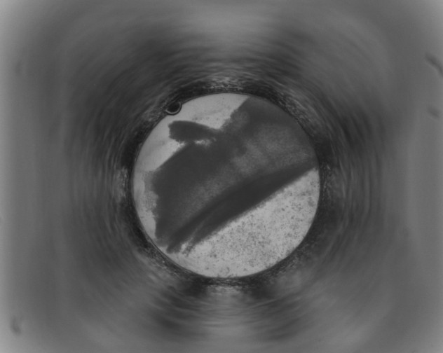 X0000091350649200708311517